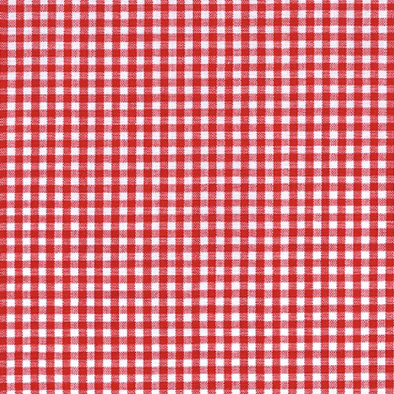 Carolina Gingham 1/8" in Crimson Street style unclassified dresses